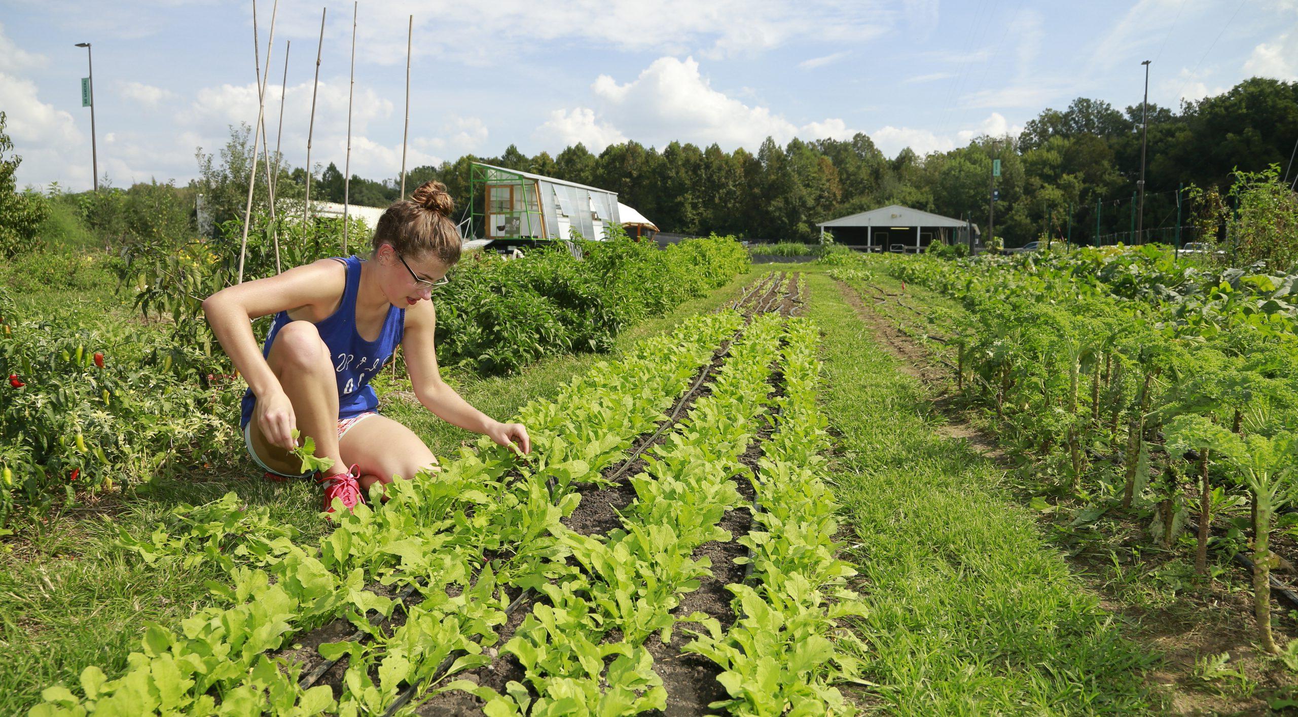 Marissa Byers at The Farm at Butler checking on some plants